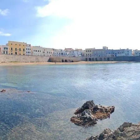 Amare غالّيبولي